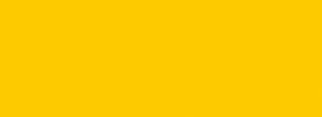 Nerchau İpek Boyası Altın Sarı 59 ml